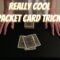 A WILD Packet Card Trick! Performance/Tutorial