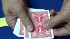 Alternating Prediction Card Trick Revealed