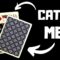 CATCH ME IF YOU CAN! | COOL EASY CARD TRICK TO LEARN!