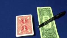 Contest #16 – Money To Burn