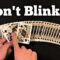 Extremely Visual Street Card Trick REVEALED!