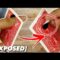 Hole Becomes a STICKER! – Tutorial