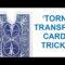 Learn Incredible Torn Transposition Card Trick!