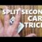 Learn the SHOCKING One Second Card Trick! (Magic Secret Revealed!)