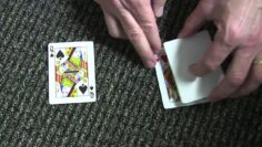 Peter Pellikaan Packet Card Trick