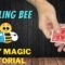 Spelling Bee – Easy Beginner Magic Card Trick Tutorial