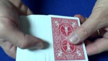 Survival Tactics – by Singingbanana