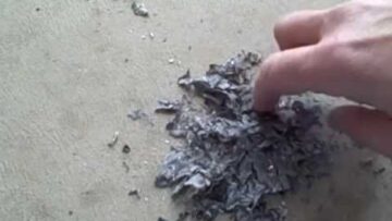 WARNING: This trick is NOT for children!